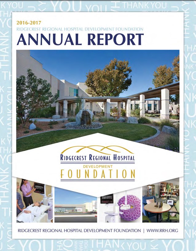 screenshot of annual report cover page